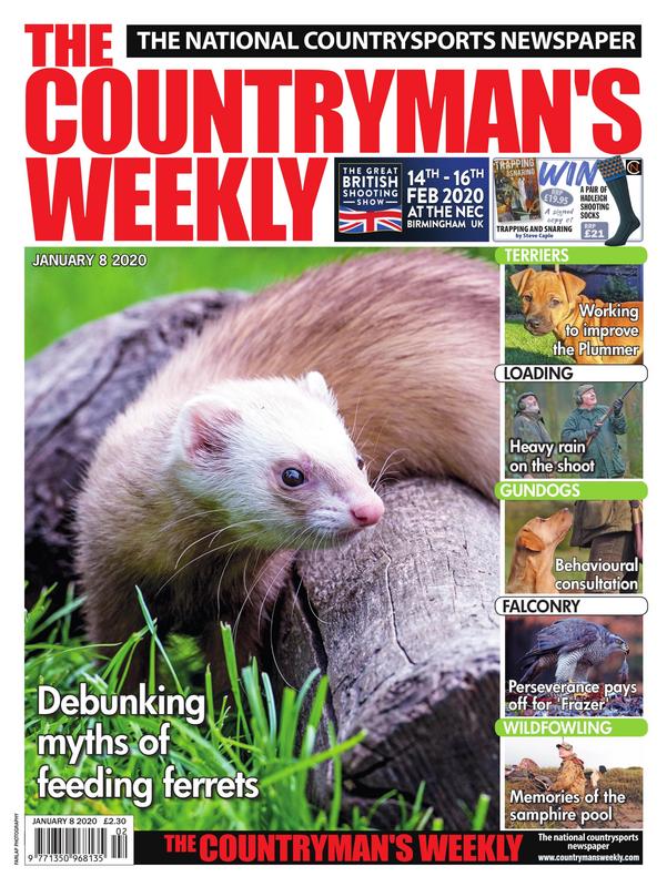 The-Countrymans-Weekly-8-January-2020.jpg