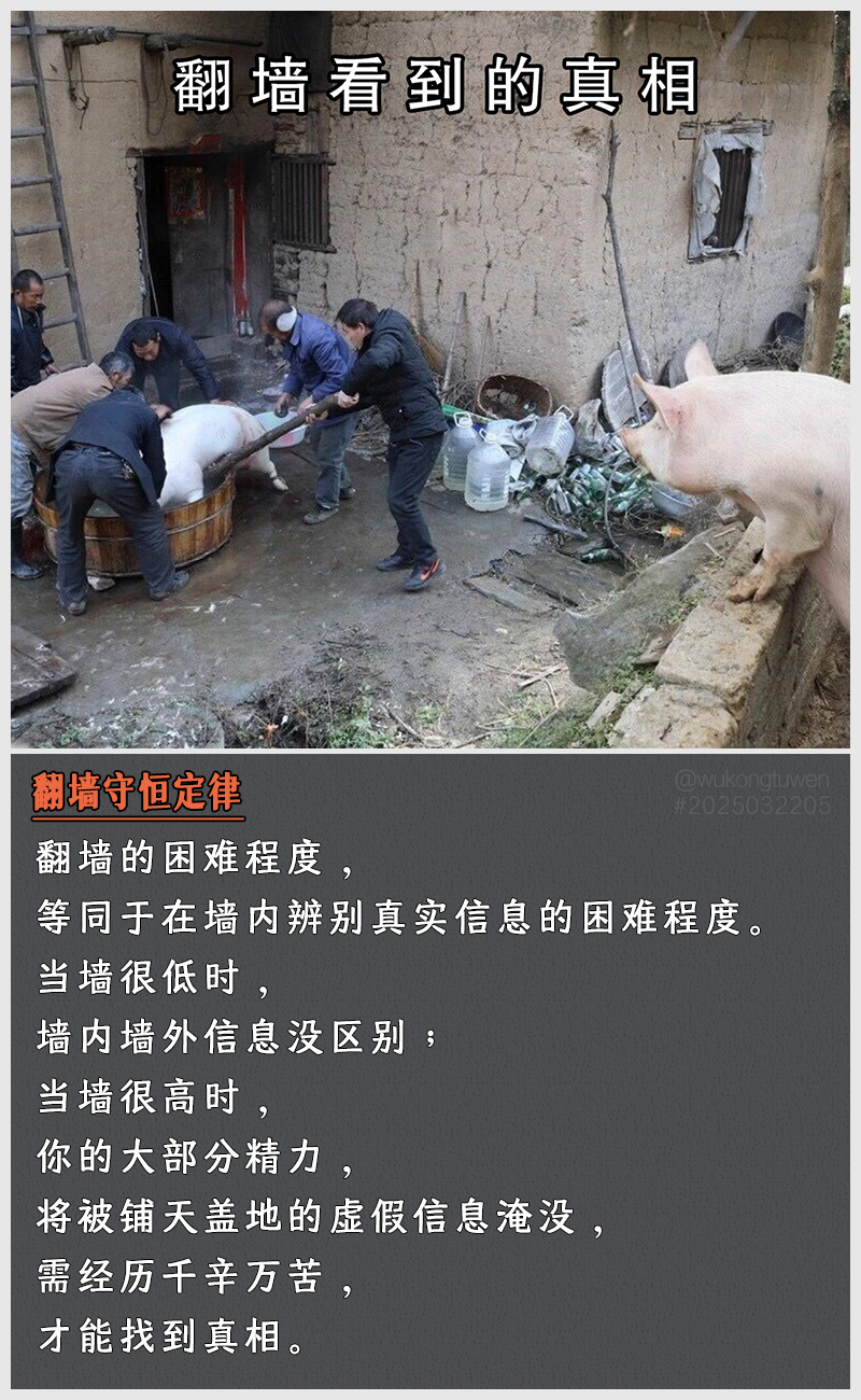 https://i.postimg.cc/Pt2ccmzH/2025032205.jpg