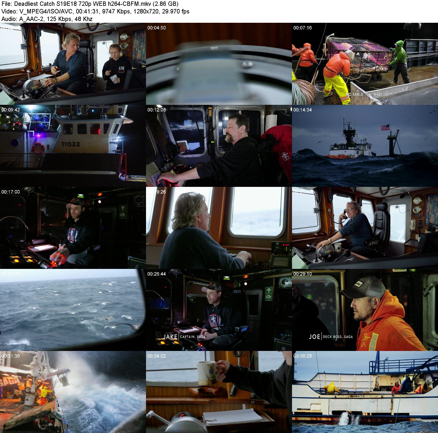 [Image: aj5t4q1h1shl.jpg]