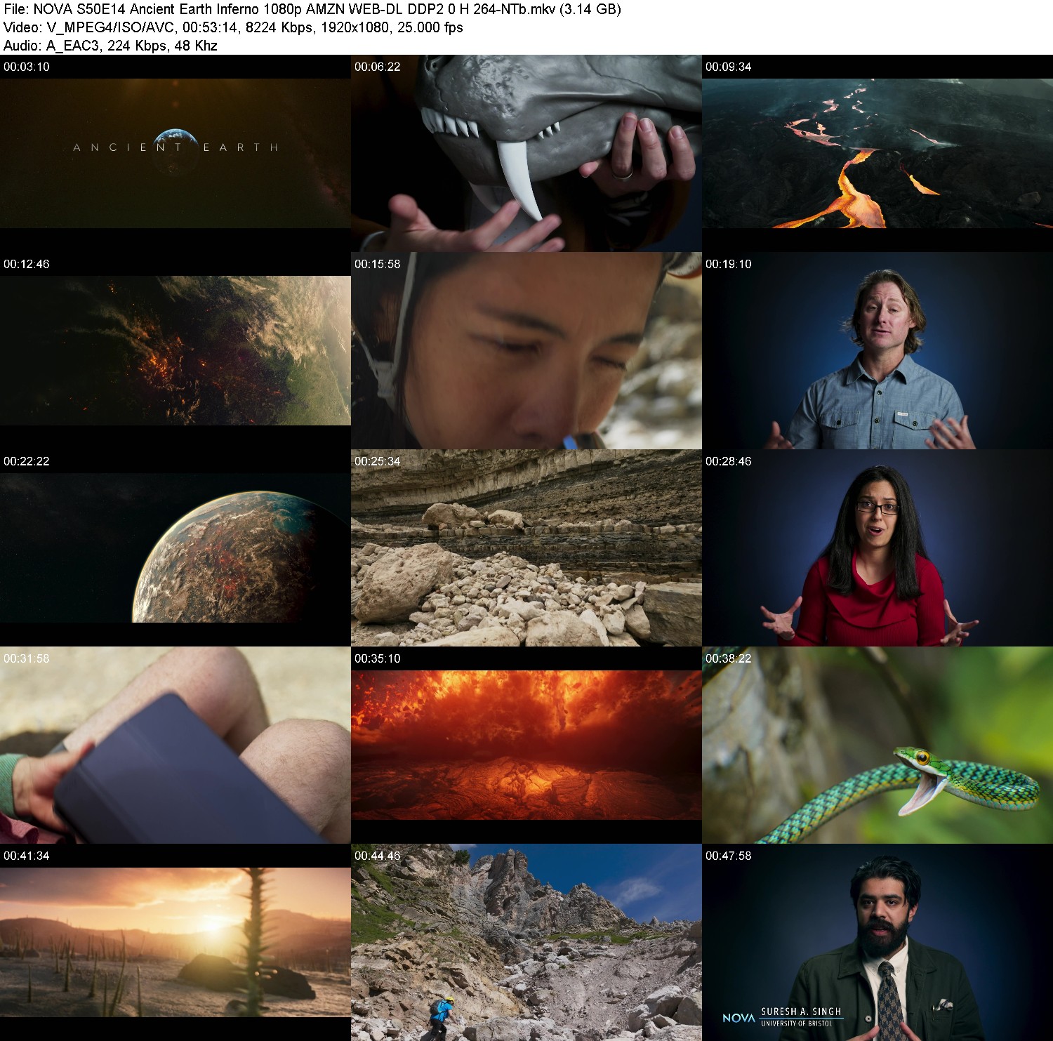 [Image: fpye3szje087.jpg]