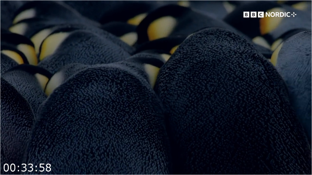 [Image: 8ygj56fmms5j.png]