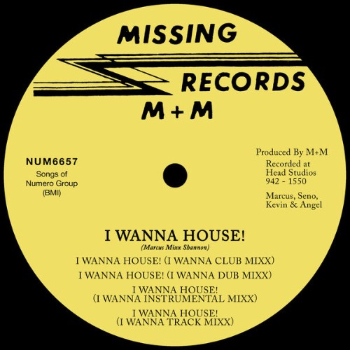 M-Plus-M-I-Wanna-House-NUM6657DIGITAL-WE