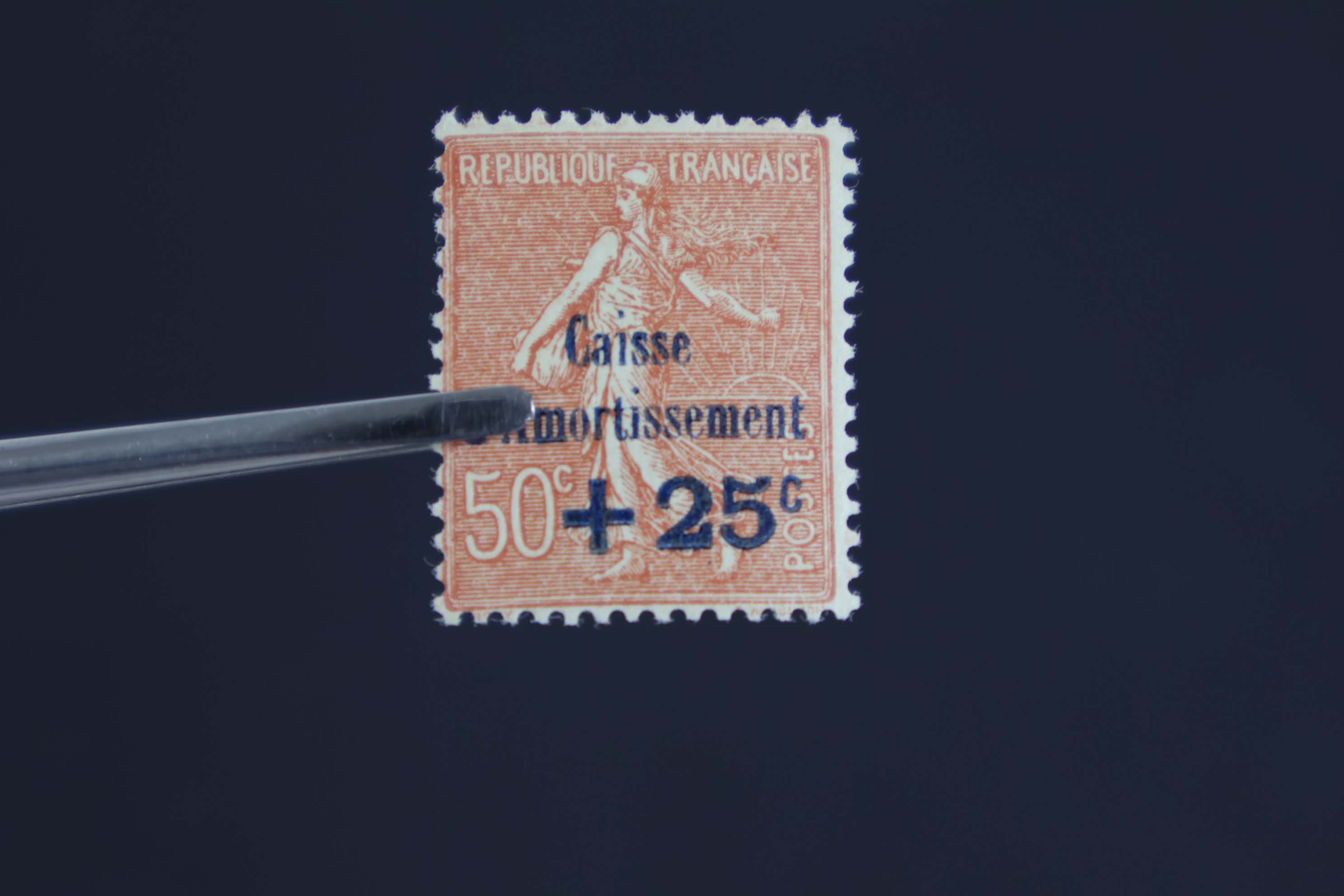IMG-1516