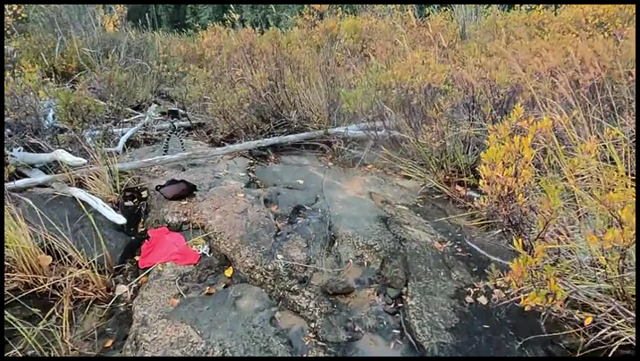 [Image: vg9synqqe415.png]