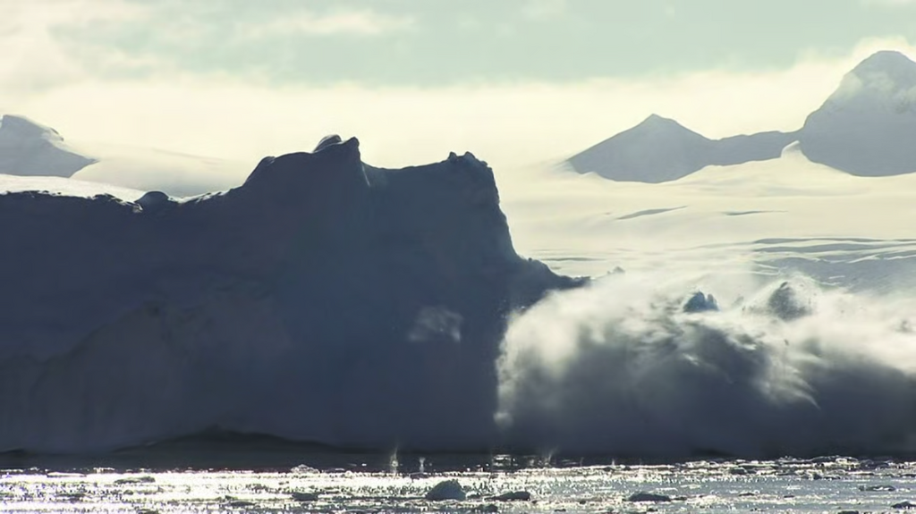 [Image: esa3wz6ca4n0.png]