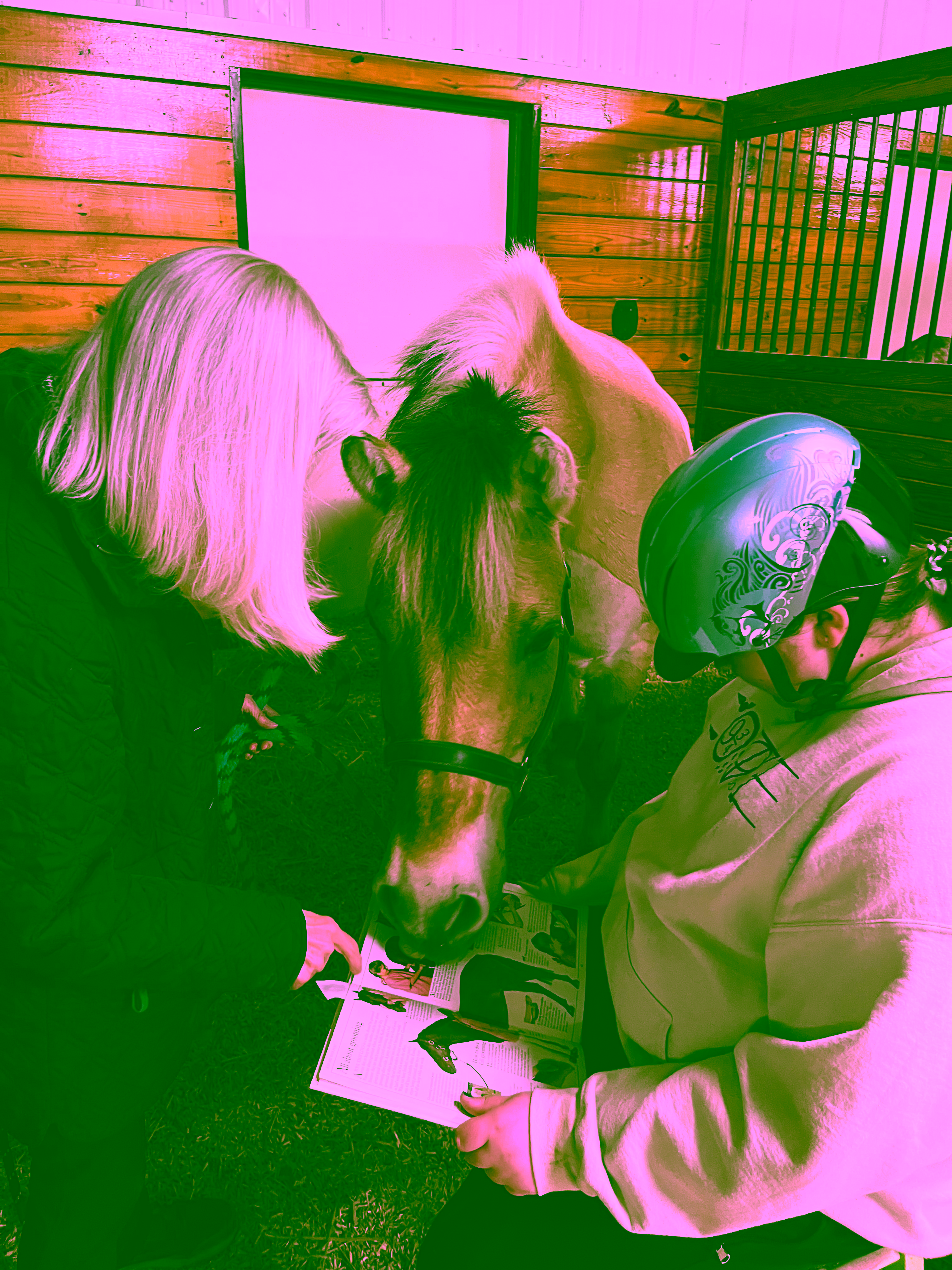Equestrian Connection reading with horse