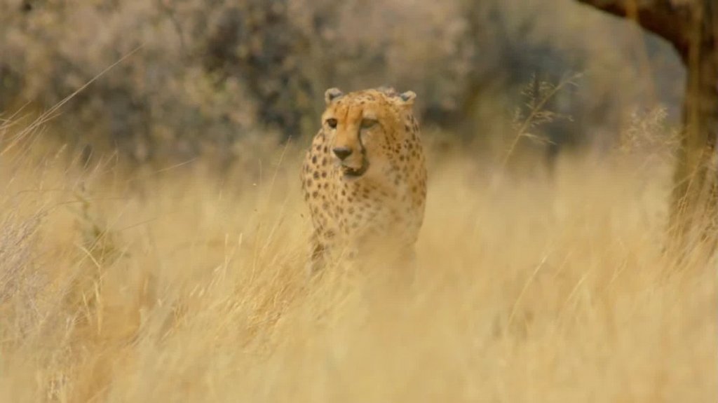 [Image: ur3yt168pynw.jpg]