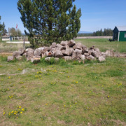 [Image: IMG-20250529-095606.jpg]