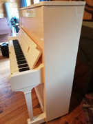 e24492e4-8264-11ef-9c81-2b59a2386677