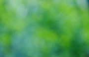 blurred-background-green