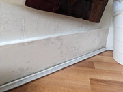 PXL 20260312 100654870 MP