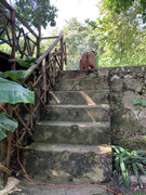 IMG-7762