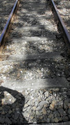 S1470165