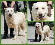 Be-Funky-collage-16.jpg&key=39dec095b5d8