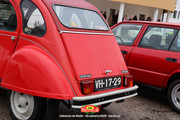 IMG-0559