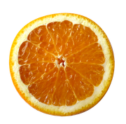 Tangerine-Winter-Kit-30
