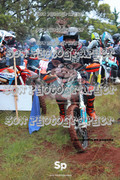 IMG-0010