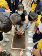 photo-littlefarmer2223-4A-004