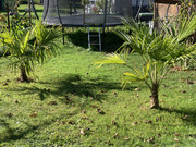 IMG-4605