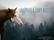 86DB0950 6A77 4BE8 9904 2467279EF8D6