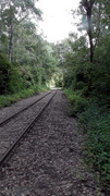 S1470154