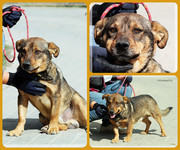 Be-Funky-collage-20.jpg&key=72ba5692a0ff