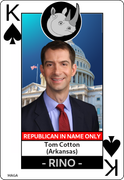 rino-Tom-Cotton