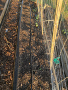 9A13ECC9-7690-49A5-80FC-7880035FA78B