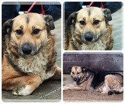 Be-Funky-collage-21.jpg&key=6c85a7305535