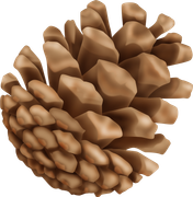 Pumpkinfairykitpudnpine