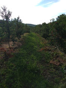 IMG_20210614_172942923