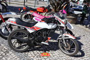 IMG-5996