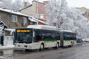 IMG-2948