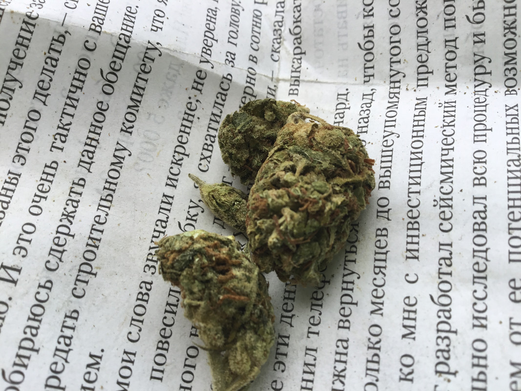 63147BD9-AF0B-444B-8E08-3BC150221EBA