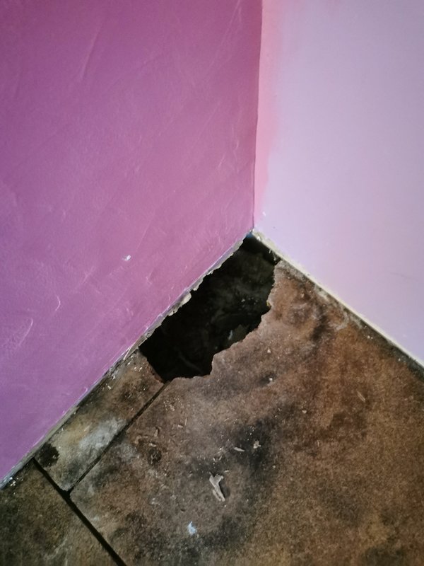 https://i.postimg.cc/Px094kNR/IMG-20240331-190752.jpg