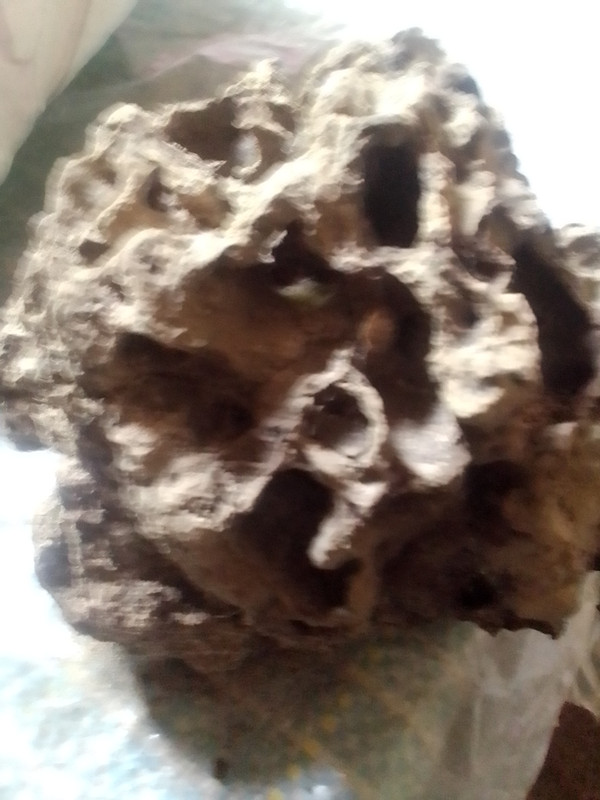 IMG_20210711_125702518