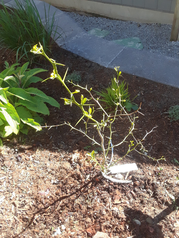 20190430_094724