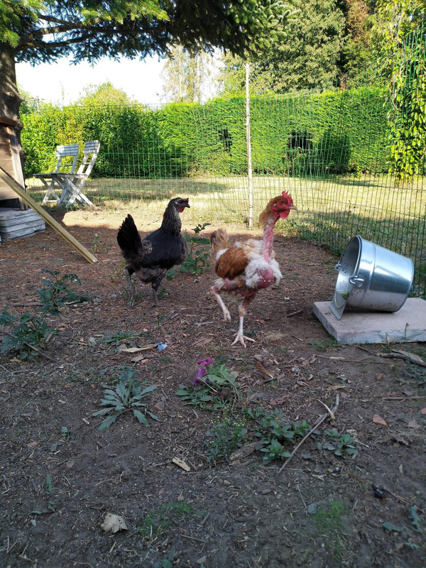 received_324439635487785