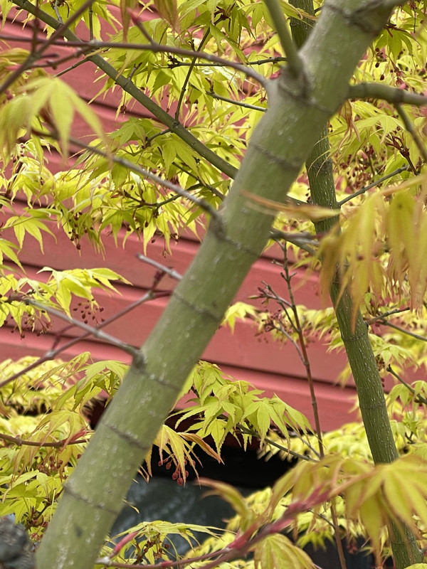 805CE881-8F65-4411-91DB-DD8CCFAD5128