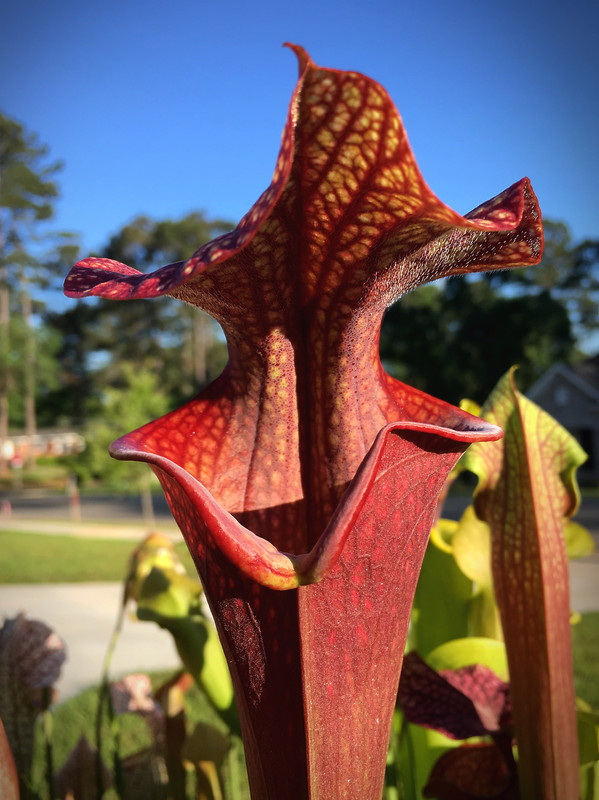 C7AACB95-563B-469A-B256-040A84AECC98