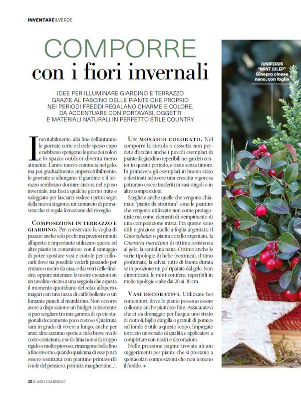 Il Mio Giar Dic 2024-Gen 2025 (5)