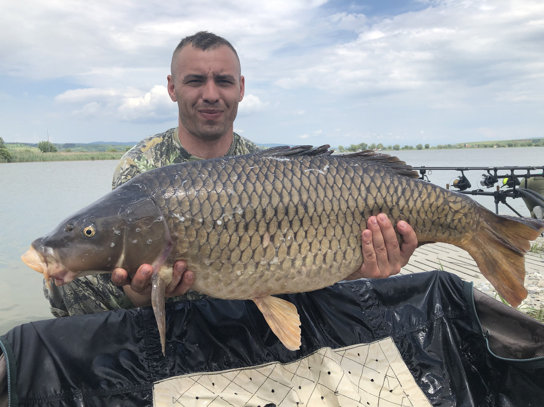 D239D674-CFAF-4805-9998-99BFA347A7EF