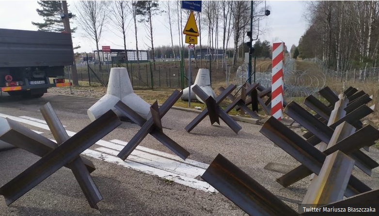 hedgehogs on Russian border