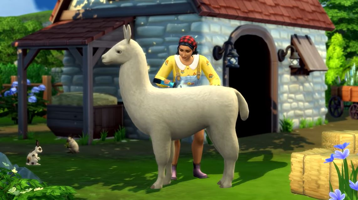 Llama-fur.jpg