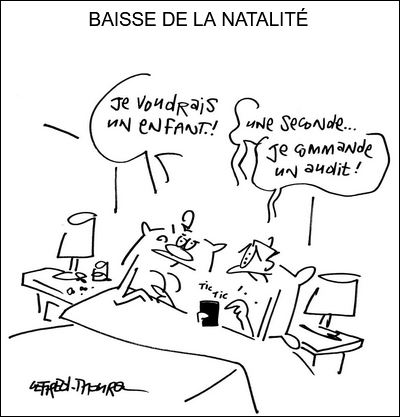 text alternatif