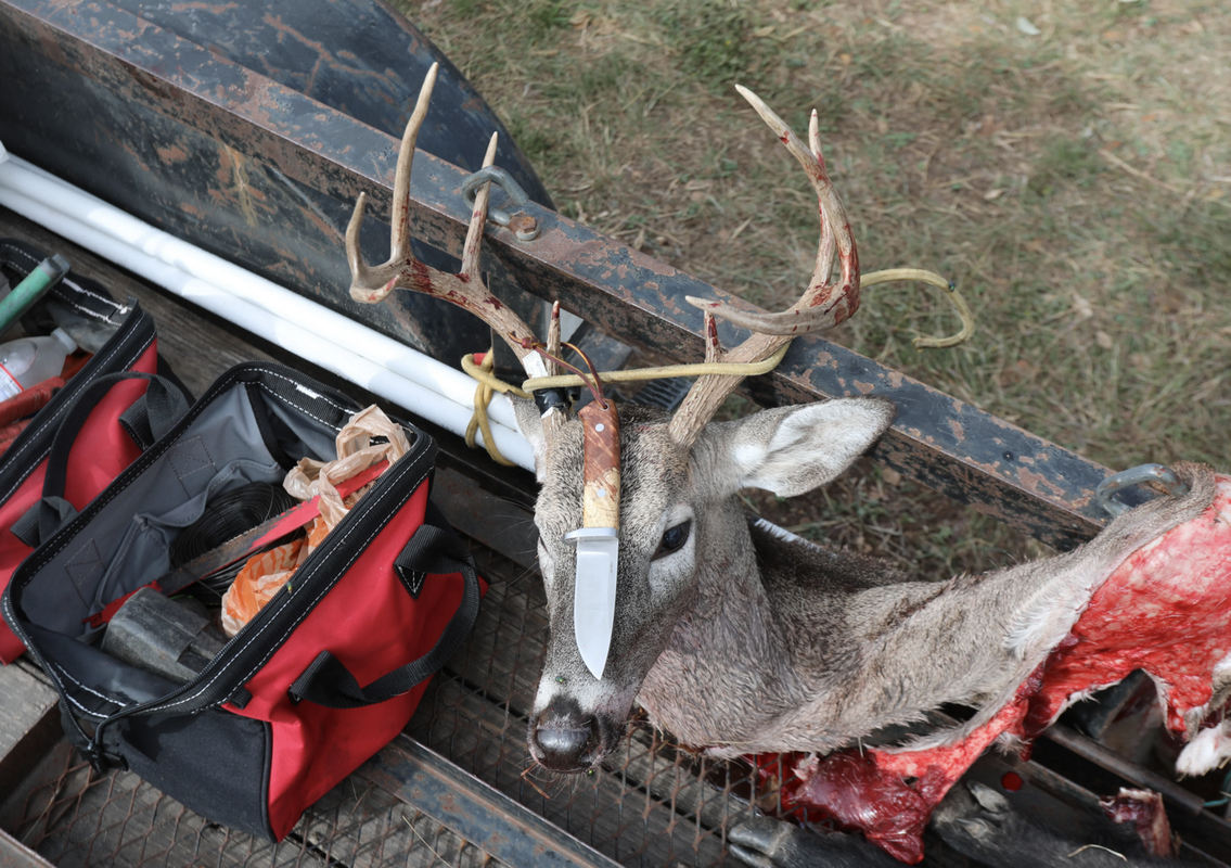 Screen Shot 2025-07-22 at 5.12.51 PM