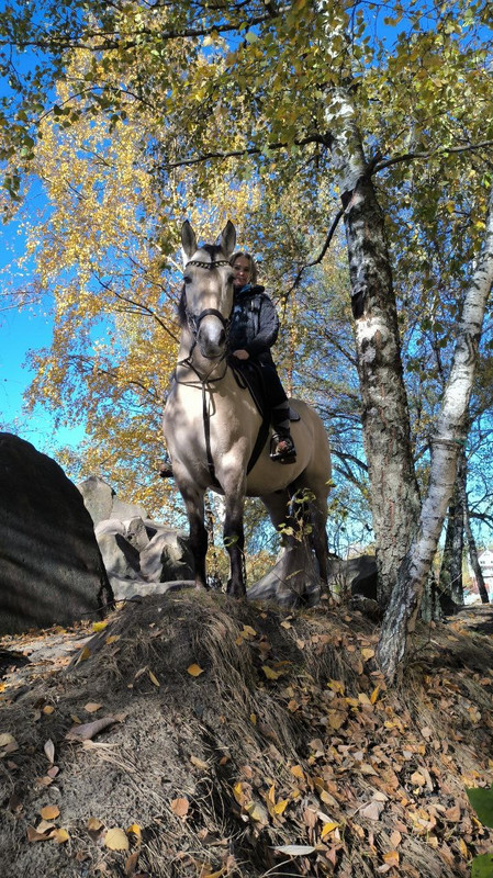 8168F0A9-9E4C-408E-A989-8E6E4F908F46