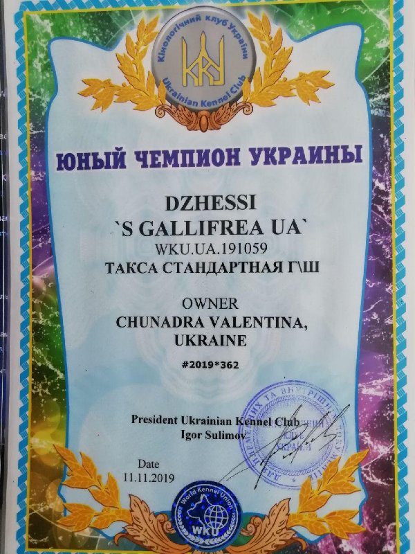 photo_2020-02-03_12-02-50