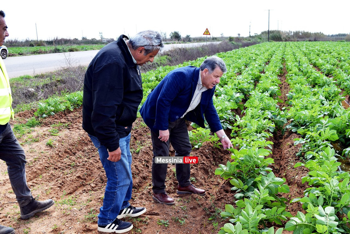 ΑΝΑΣΤΑΣΟΠΟΥΛΟΣDSC_0713