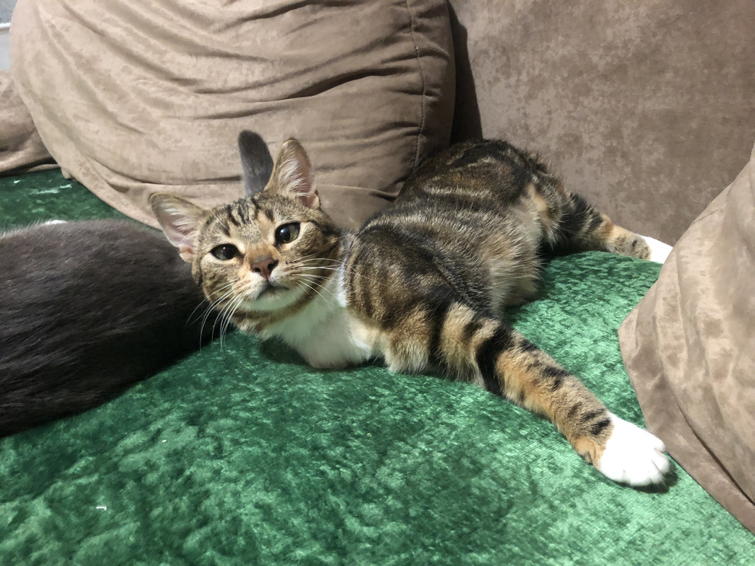 C6783972-E554-444A-8CBD-C6658B5A876E